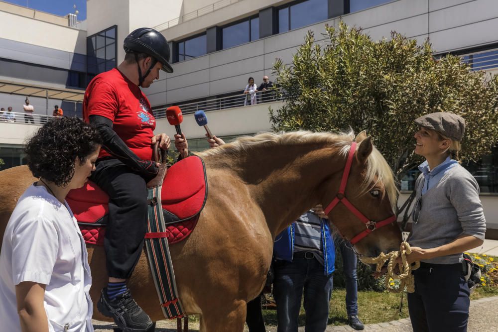 Hipoterapia en Sant Joan de Déu