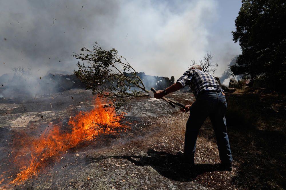 Incendio Pino del Oro y Castro de Alcañices