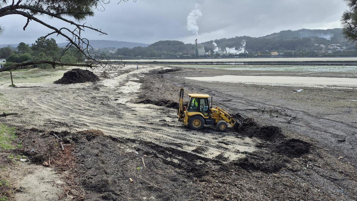 Limpieza de playas de Lourido en la ría de Pontevedra.