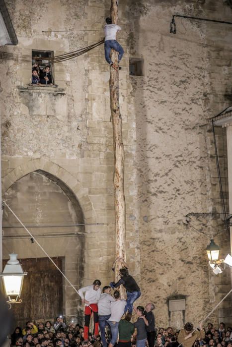 Fiestas de Sant Antoni: Pi de Pollença