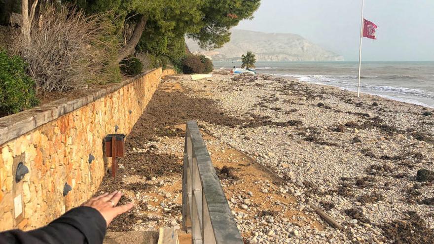 Voluntarios escolares de Altea limpiarán este domingo el litoral entre el río Algar y el puerto Campomanes