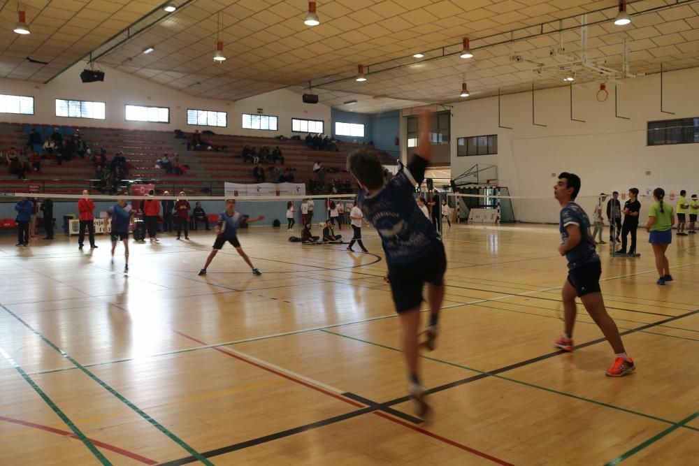 Final Regional de bádminton de Deporte Escolar