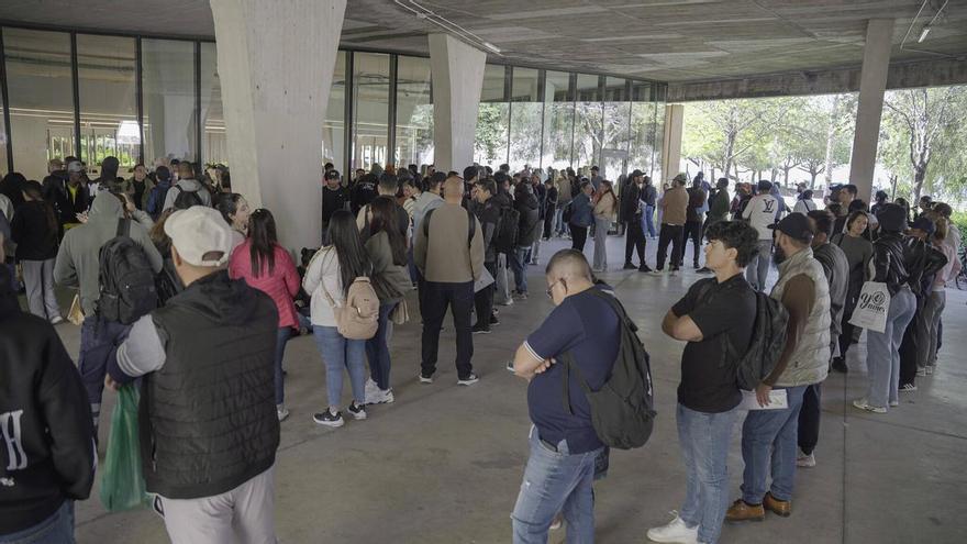 El PSOE denuncia "boicot" en la regularización de migrantes en el Ayuntamiento de Ibiza y la Delegación del Gobierno se ofrece a "aclarar dudas"