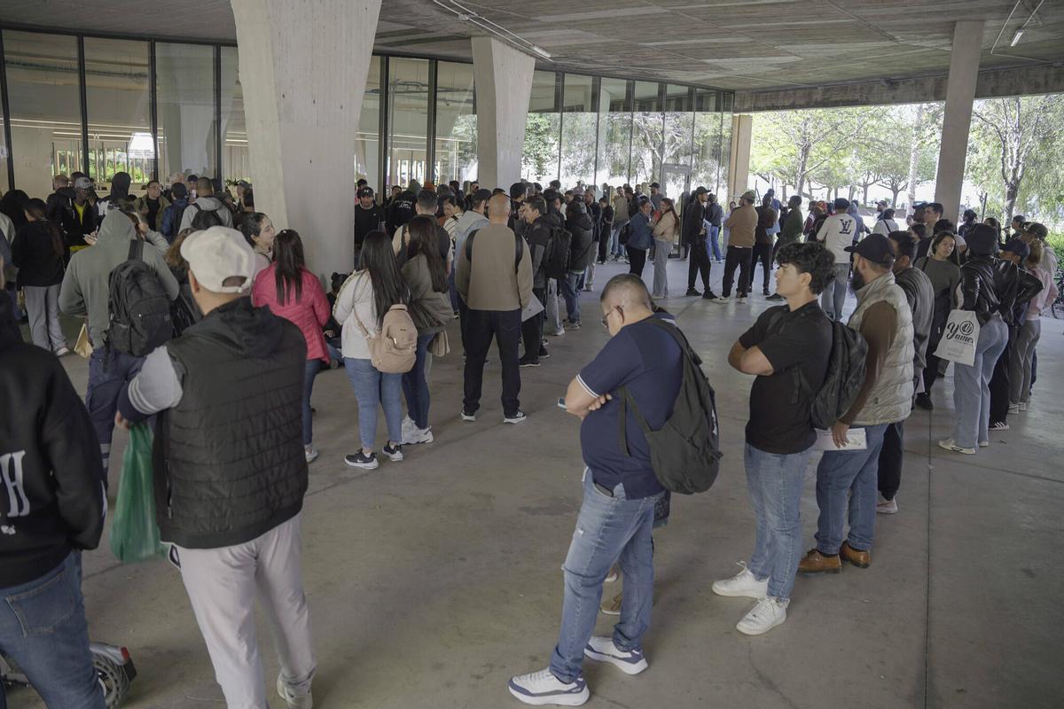 Imagen de las colas este viernes en la Oficina de Atención al Ciudadano del Ayuntamiento de Palma.