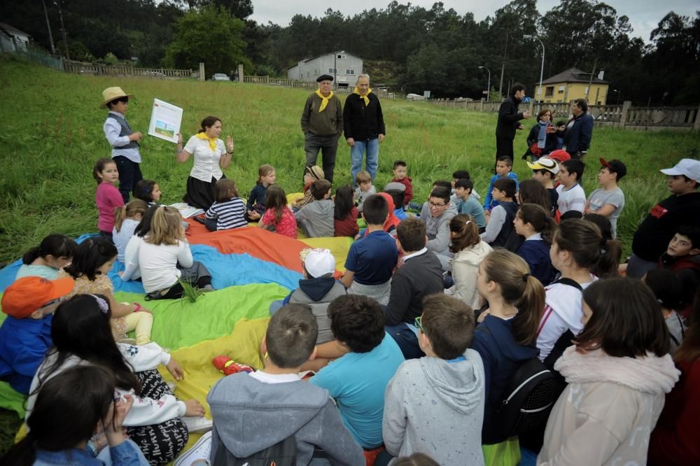 "Sementeira", una asignatura en Valga