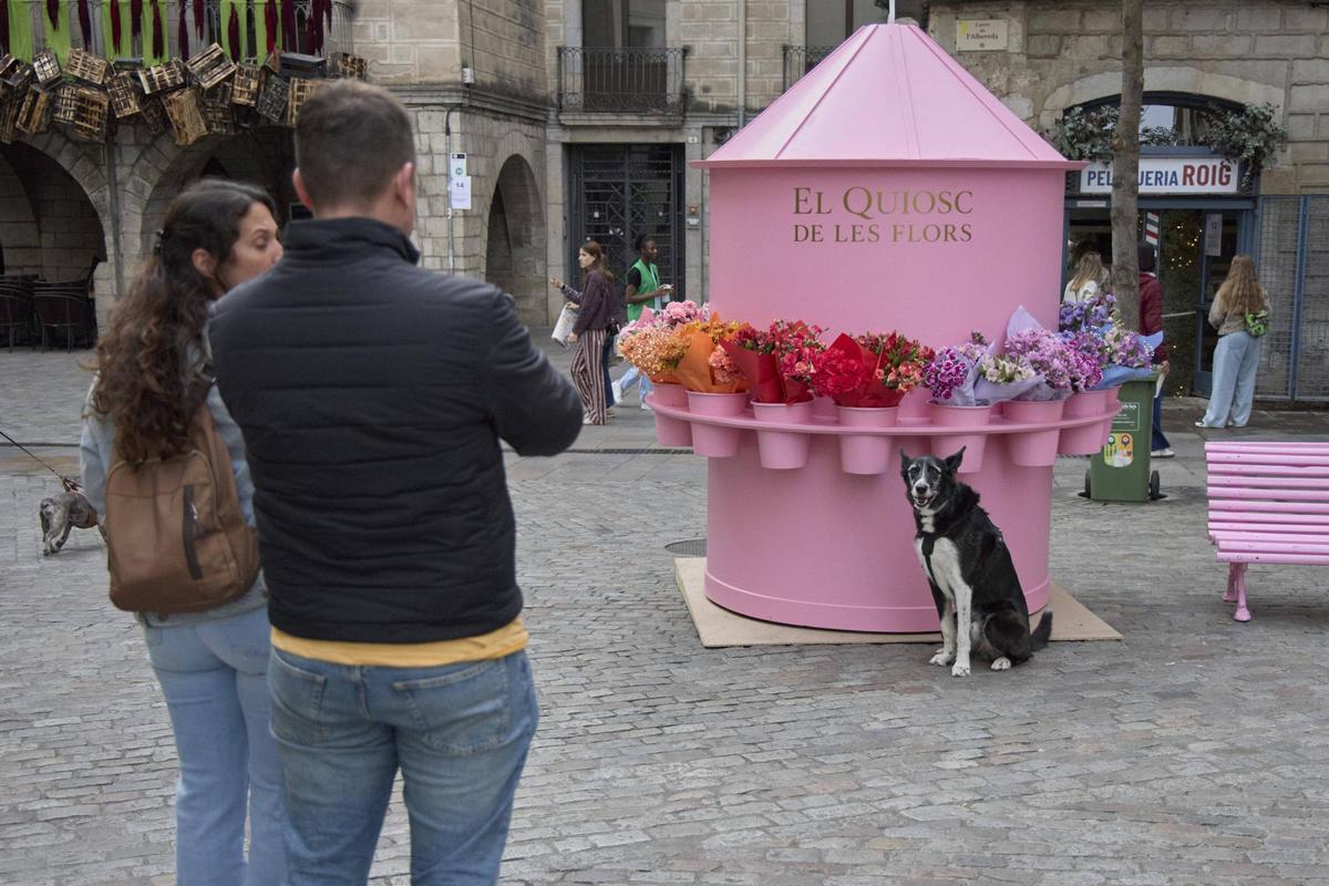 Les imatges del primer dia de Temps de Flors
