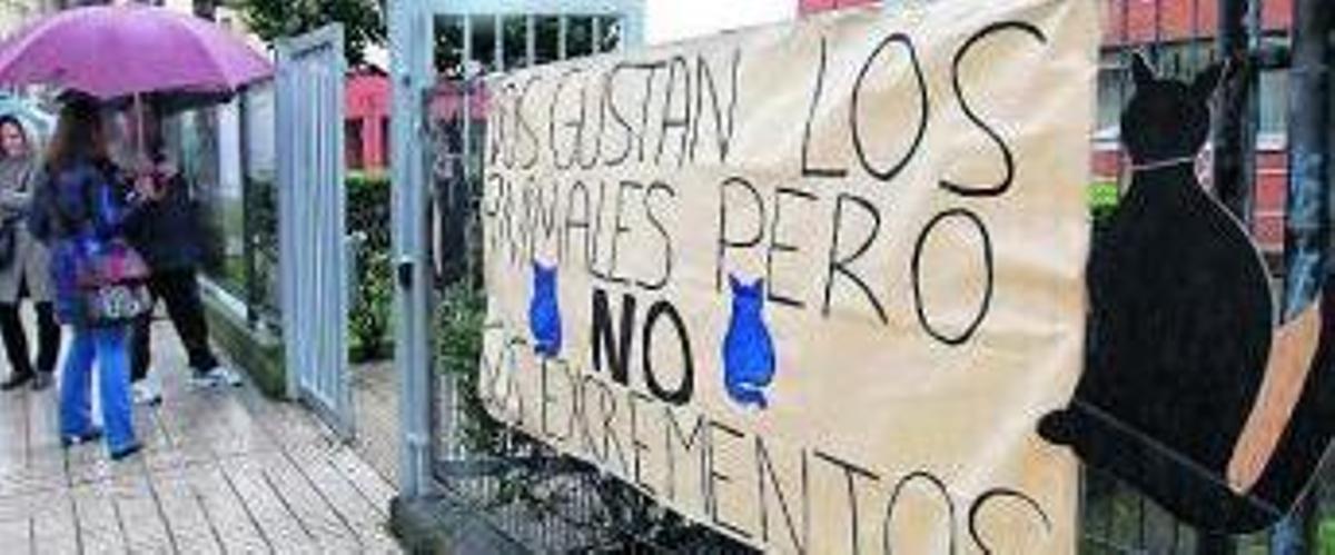 Los gatos de la discordia