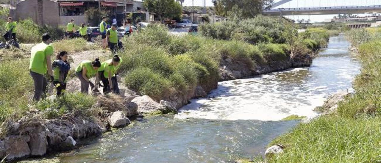 Un grupo de ecologistas limpian el cauce del Vinalopó en Elche, en una imagen de archivo.