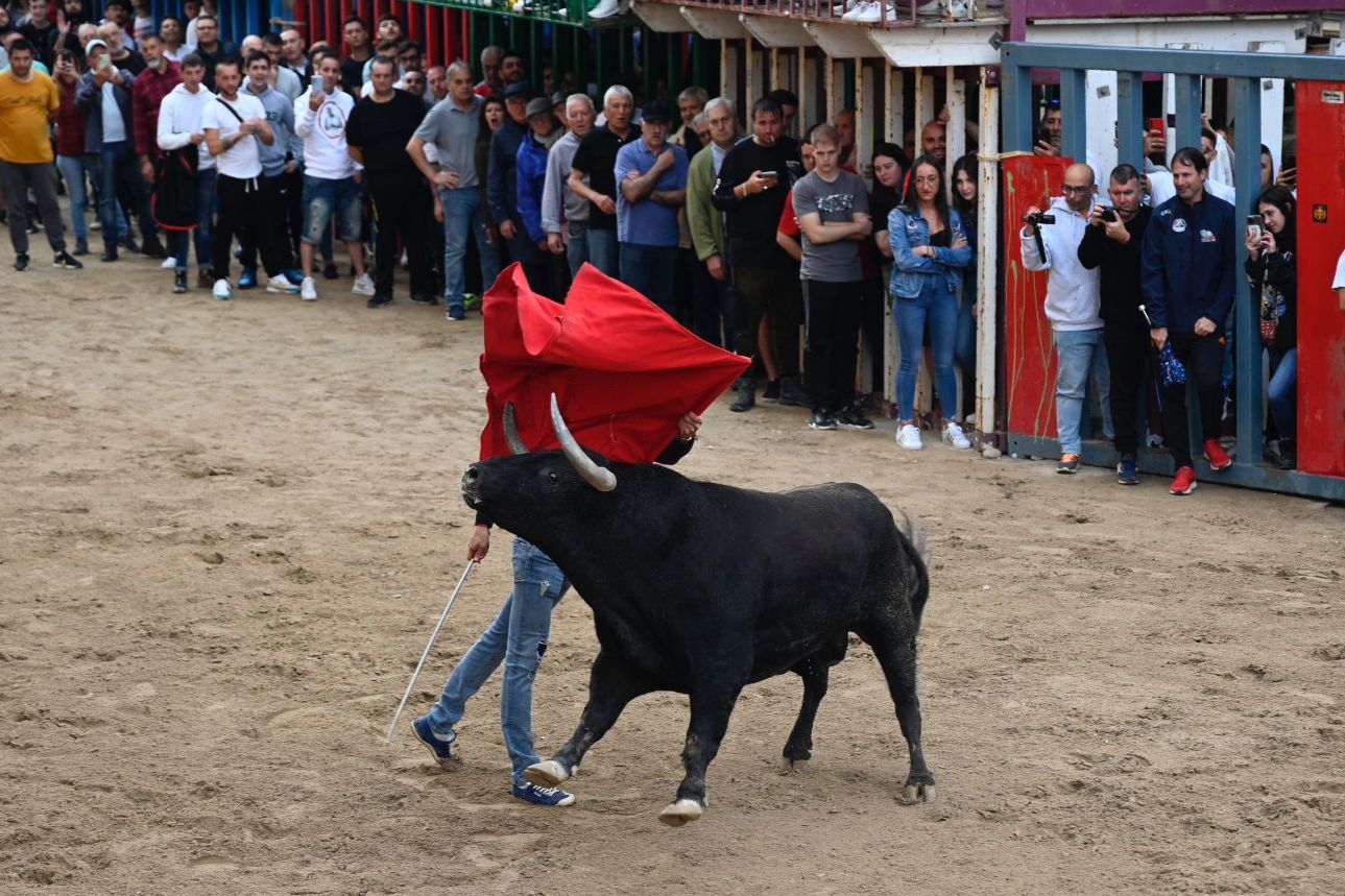 Las mejores imágenes de la jornada festiva en Vila-real