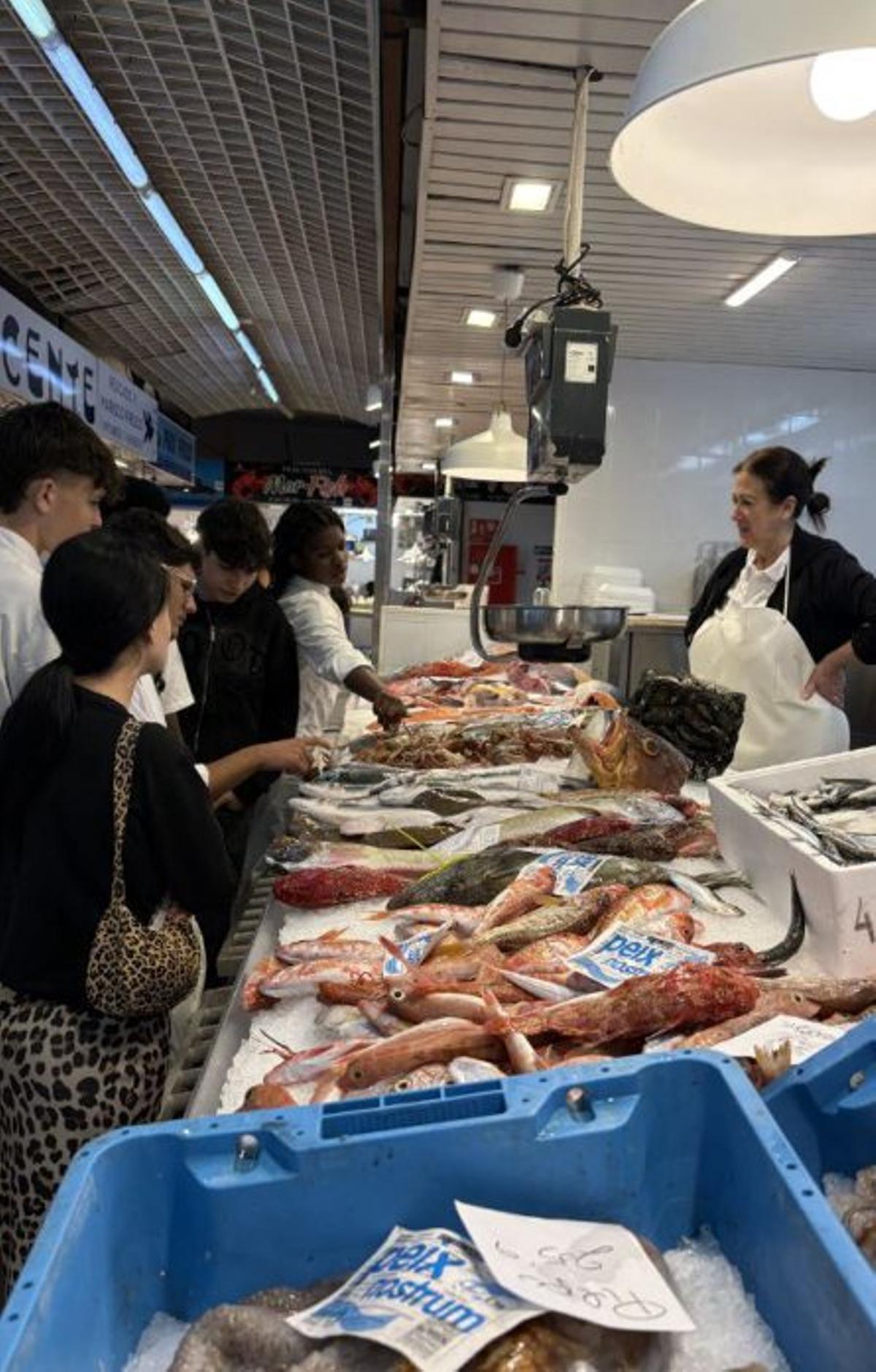 Visita al Mercat Nou. | IES ISIDOR MACABICH