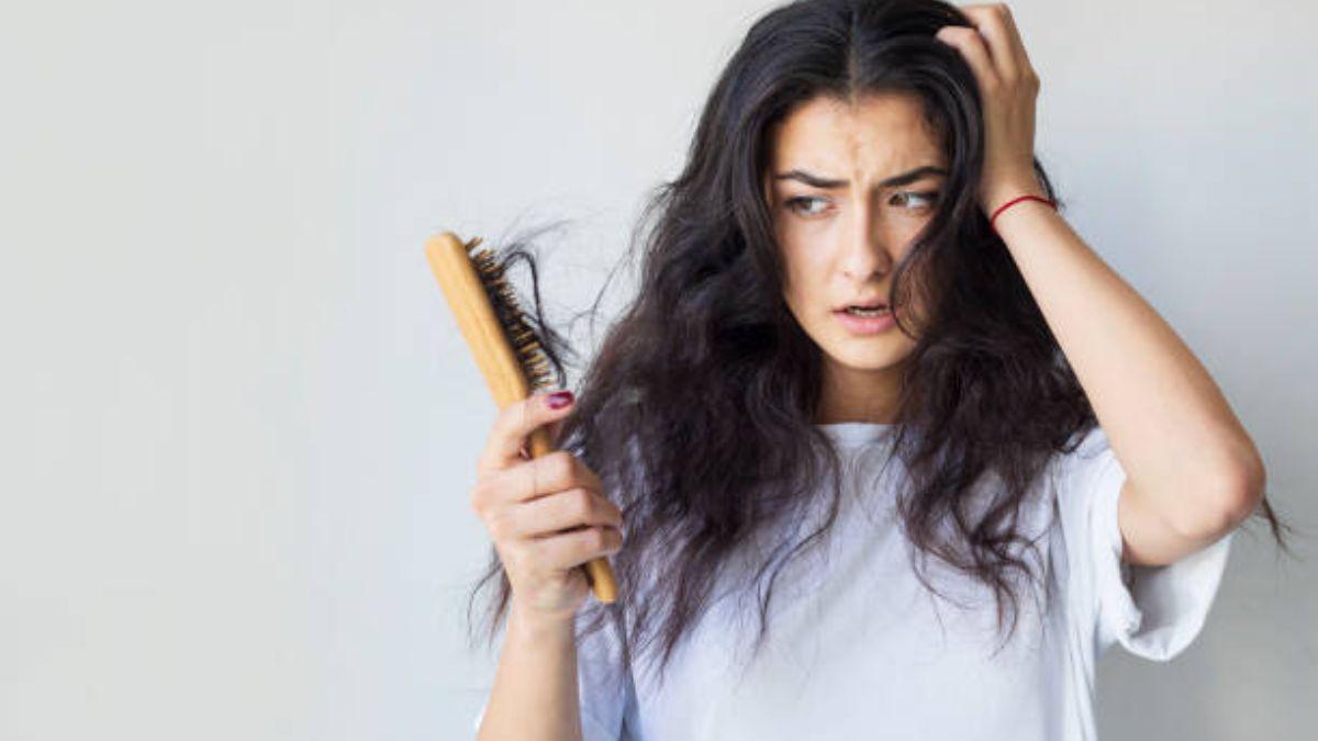Los propiedades del laurel para tu pelo