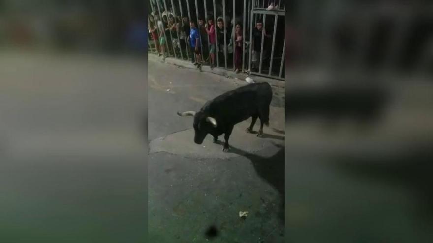 El toro cornea a un joven de 20 años en Calp