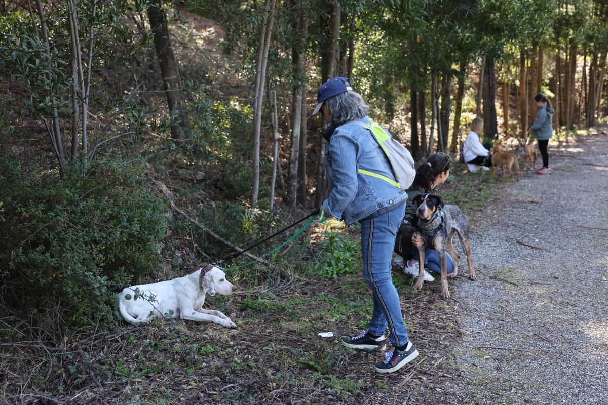Un paseo por una buena causa: la protectora Os Biosbardos y FARO se unen en la suscripción solidaria