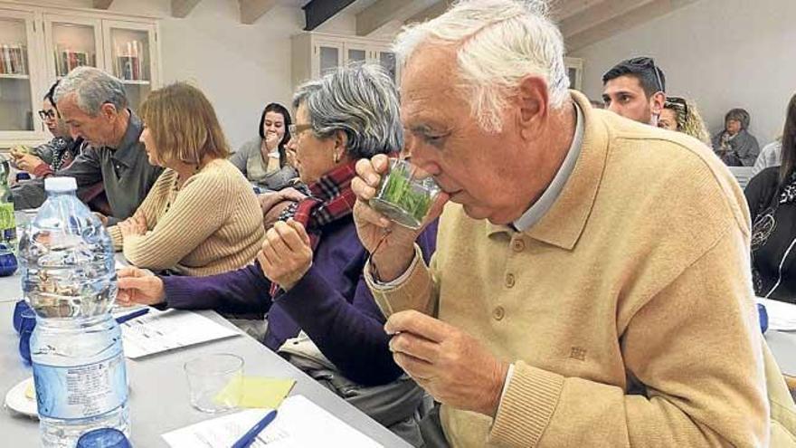 Cata de aceites de Balears