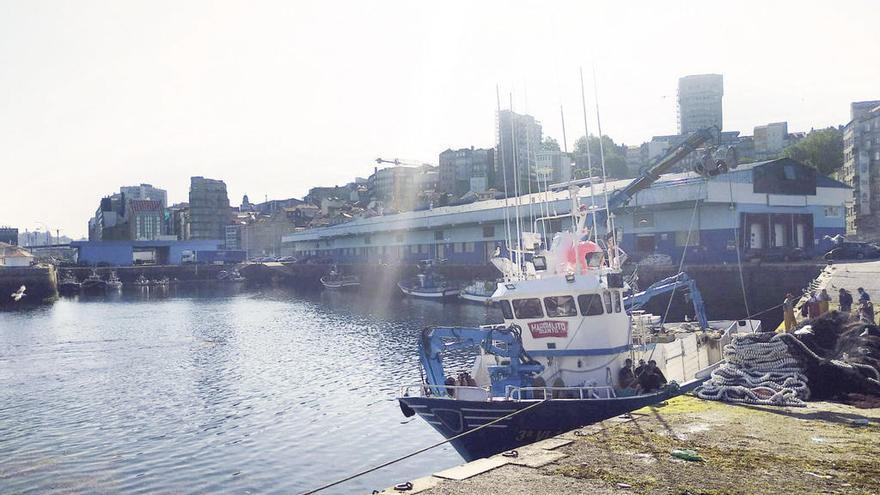 El cerquero &quot;Marcelino Quinto&quot;, en el puerto de Vigo . // A.A.