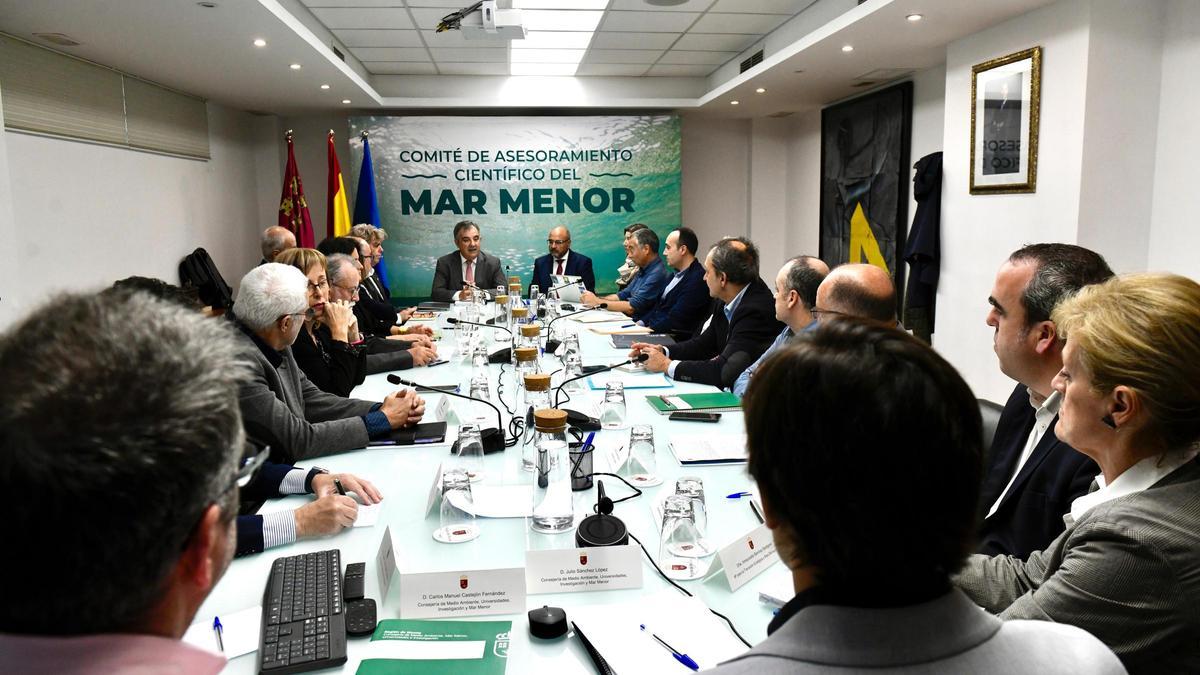 Mesa del Comité de Asesoramiento Científico del Mar Menor, reunida este martes