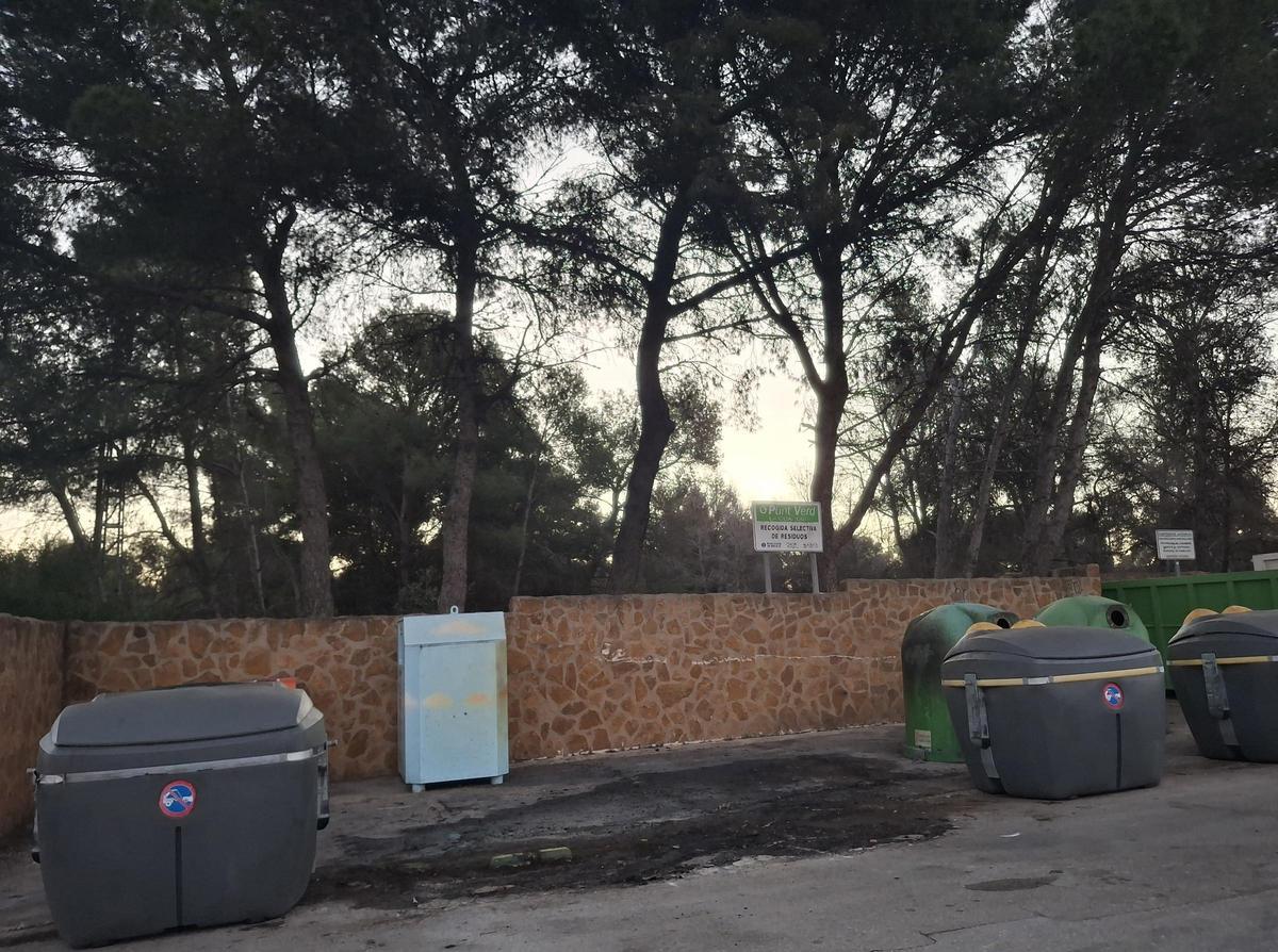 Los contenedores están junto a una pinada