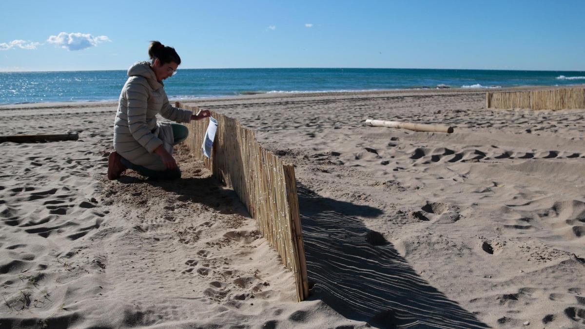 Una investigadora de la UdG col·loca un cartell informatiu en un dels captadors eòlics de la platja de Calafell.