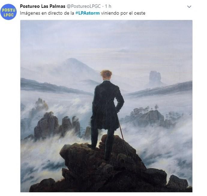 Los memes del temporal