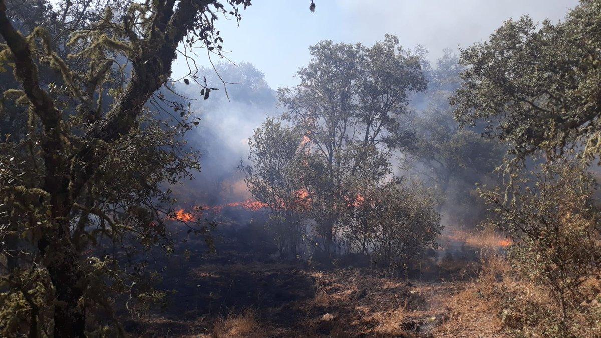 Estabilizado el incendio forestal declarado en la cola del embalse de Puente Nuevo