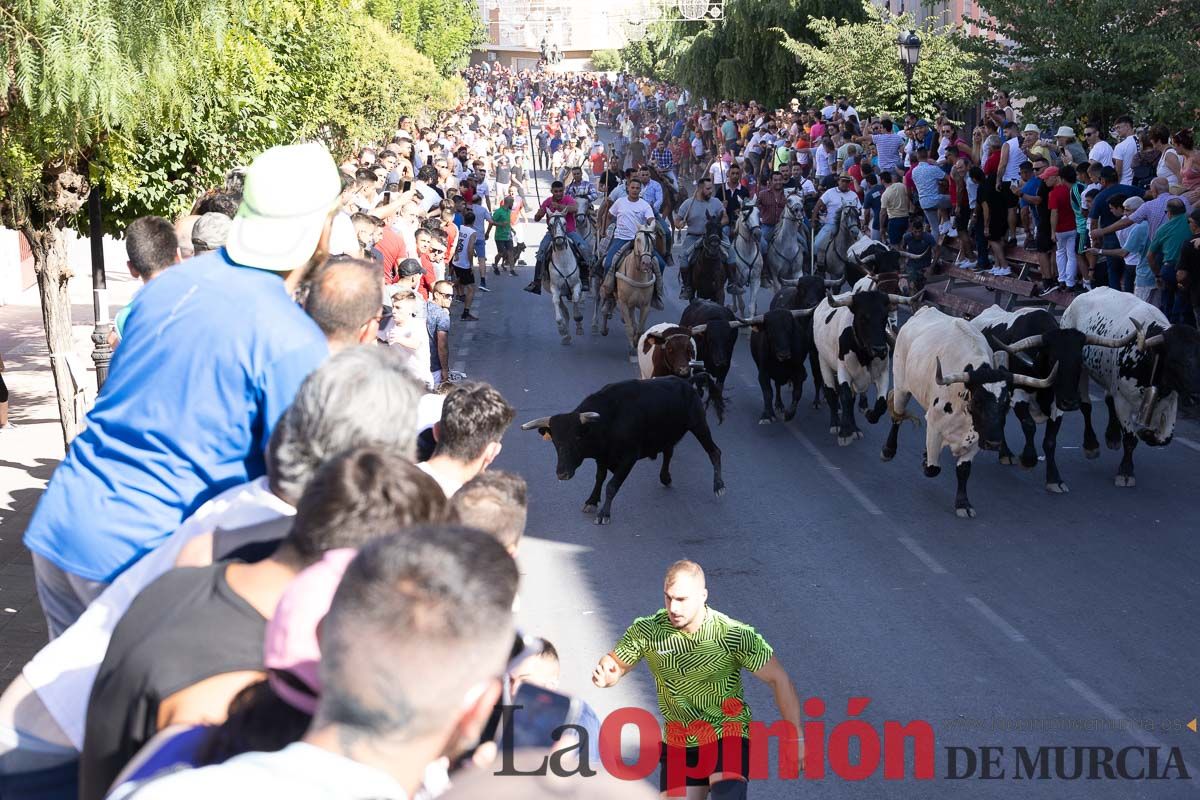 Último encierro en las Fiestas de Moratalla