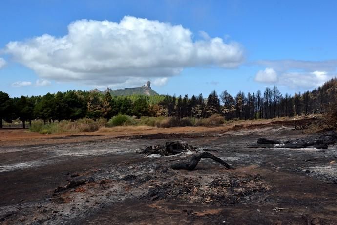 INCENDIO CUMBRE