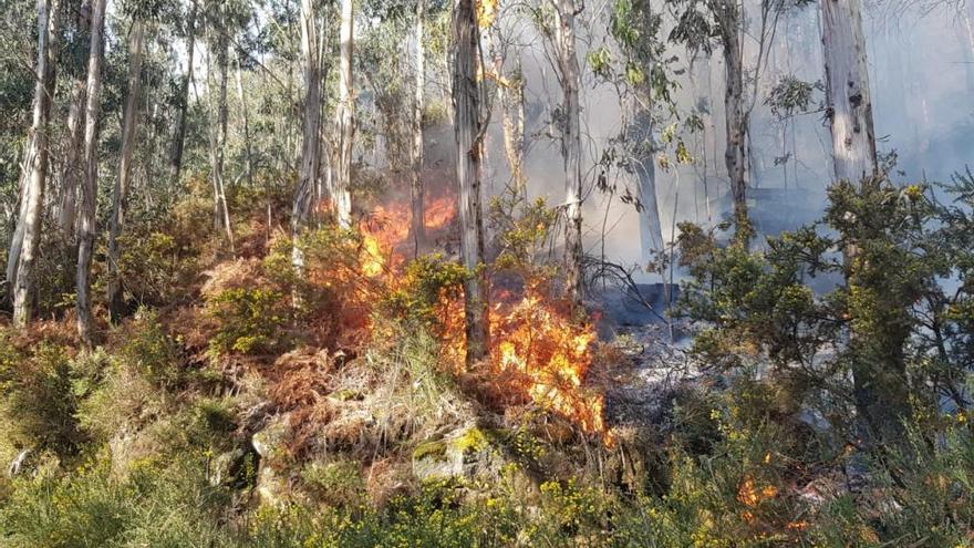 Incendio de Rianxo. // M. Méndez