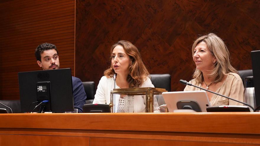 María Navarro y Elena Allué presiden sendas comisiones parlamentarias