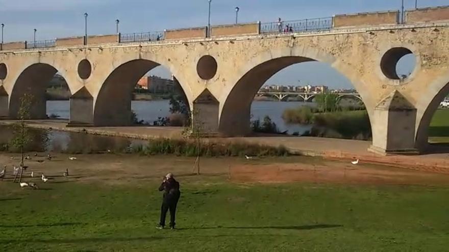 Captura y traslado de los gansos de Badajoz