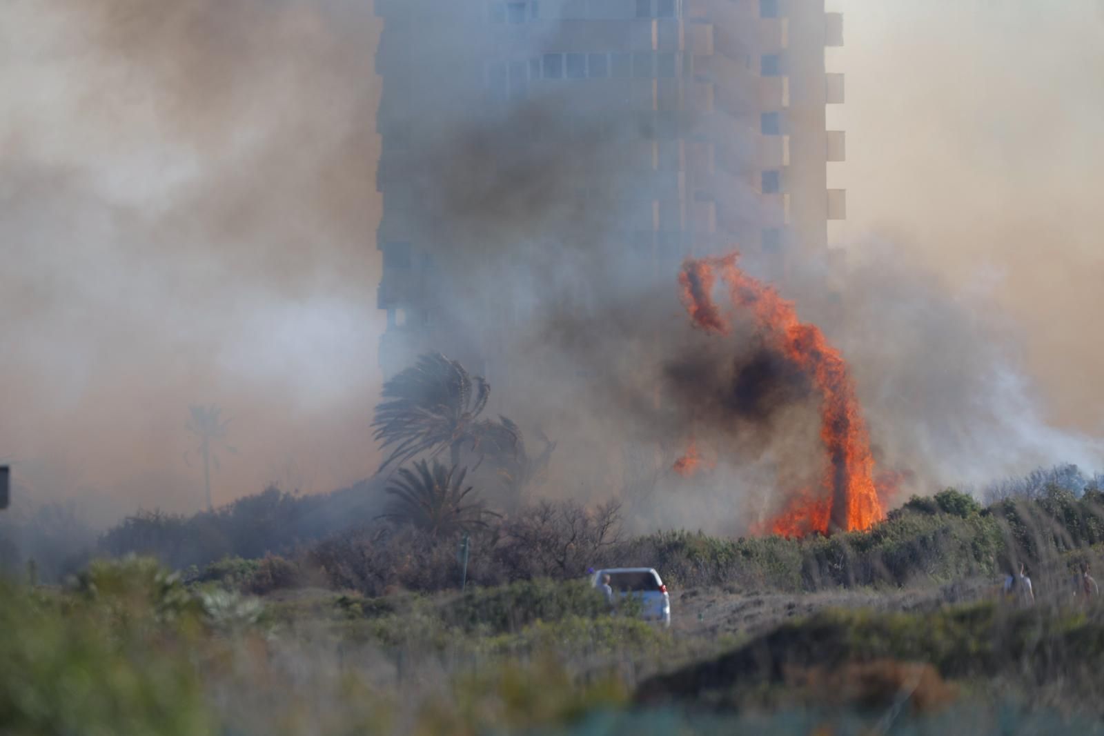 Declarado un incendio en el Saler