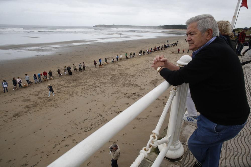 Concentración en la playa de Salinas para pedir el acceso para perros