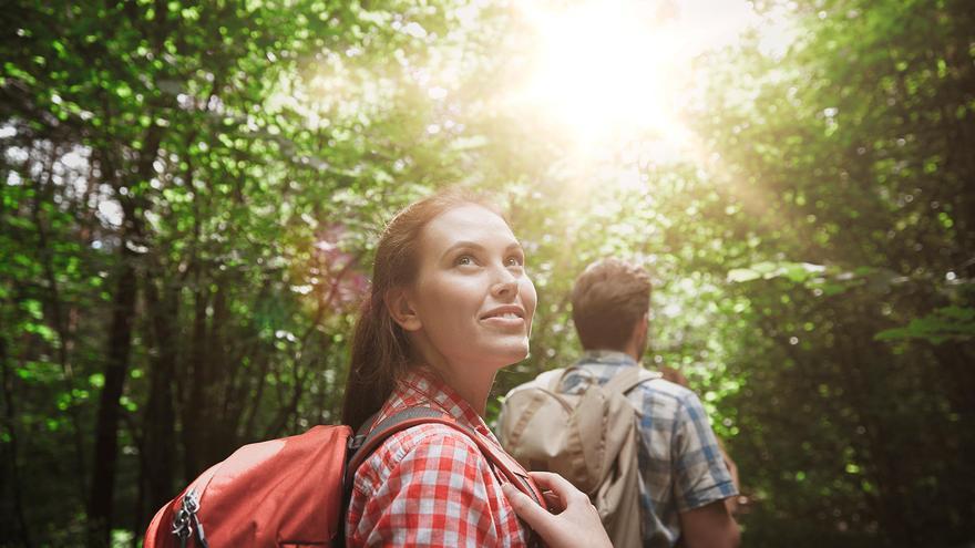 ¿Qué son los “baños de bosque” japoneses y qué podemos aprender de ellos?