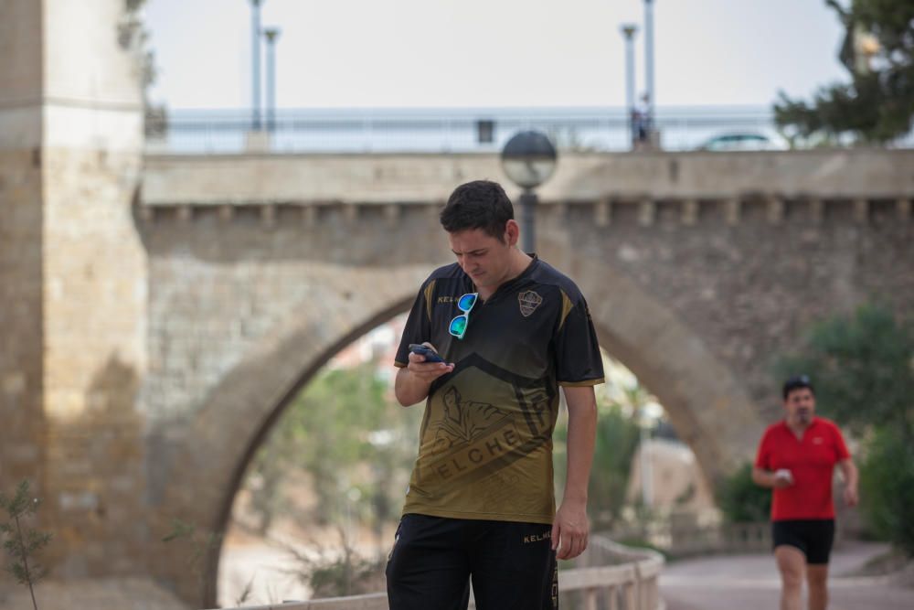 Pokémon Go conquista las calles de Elche