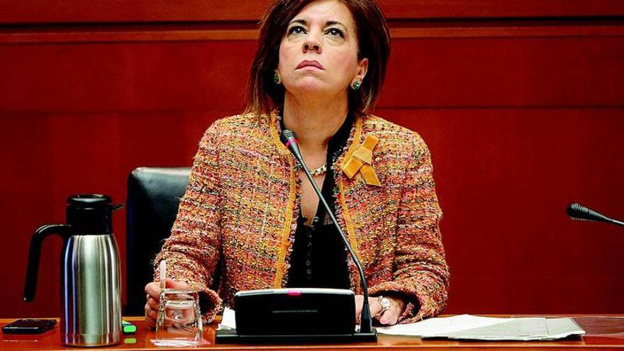 Lourdes Rubio: &quot;Ojalá el Estado se inspire en nosotros&quot;