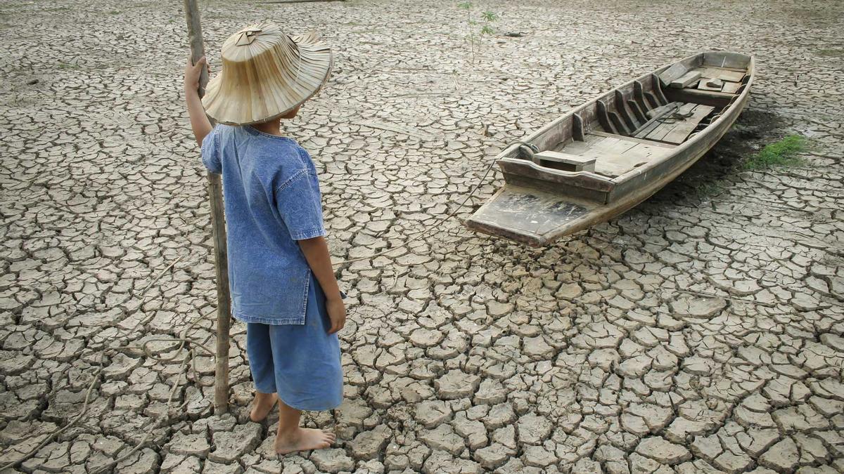 El calentamiento amenaza con reducir un 30% la producción agrícola mundial