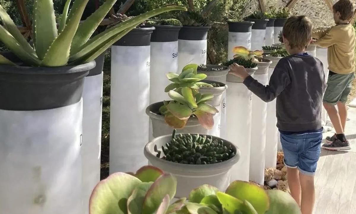 El primer piano vegetal del mundo, que produce sonido al entrar en contacto con las personas, en Bibo Park. | DI