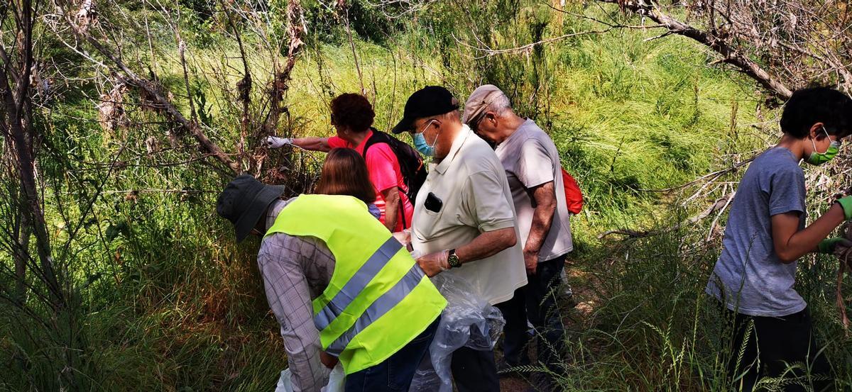 Así ha sido la limpieza ciudadana en la ‘ruta de las toallitas’ del Soto de Cantalobos de Zaragoza