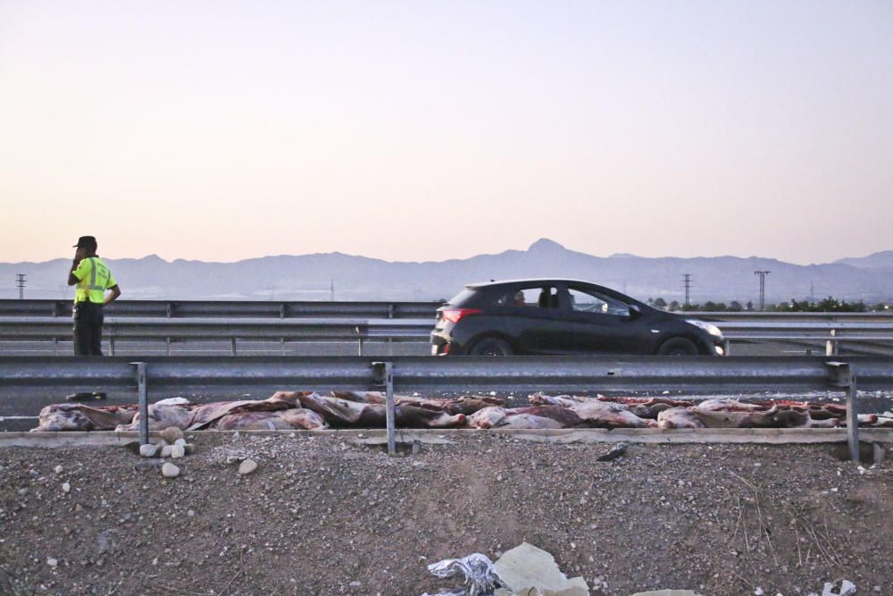 Accidente de camión cargado de carne congelada