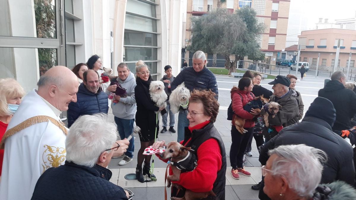 El sacerdote de la iglesia del Sagrado Corazón en la bendición de animales con motivo de San Antón