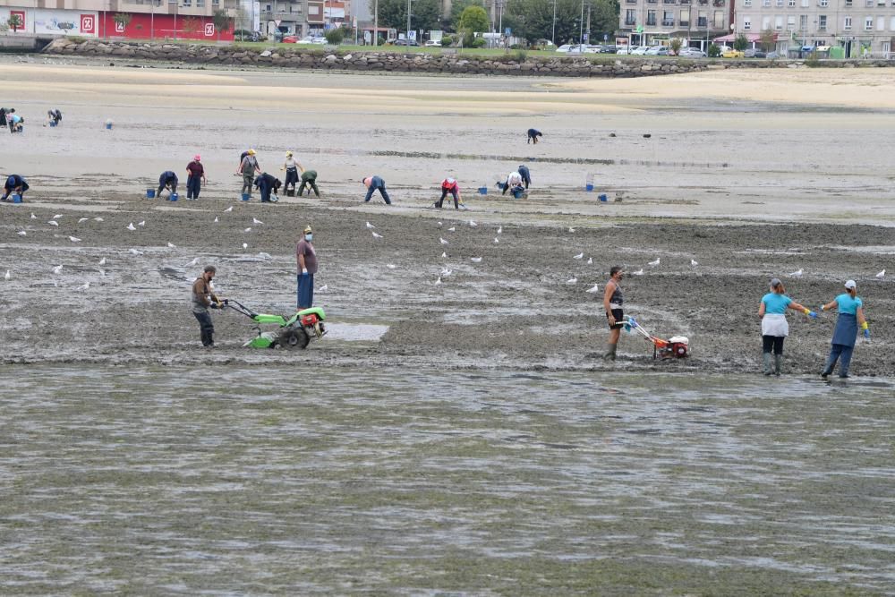 Mariscadores de Cangas y Moaña, en mar y en tierra