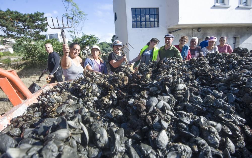 Mariscadores de O Burgo limpian parques privados