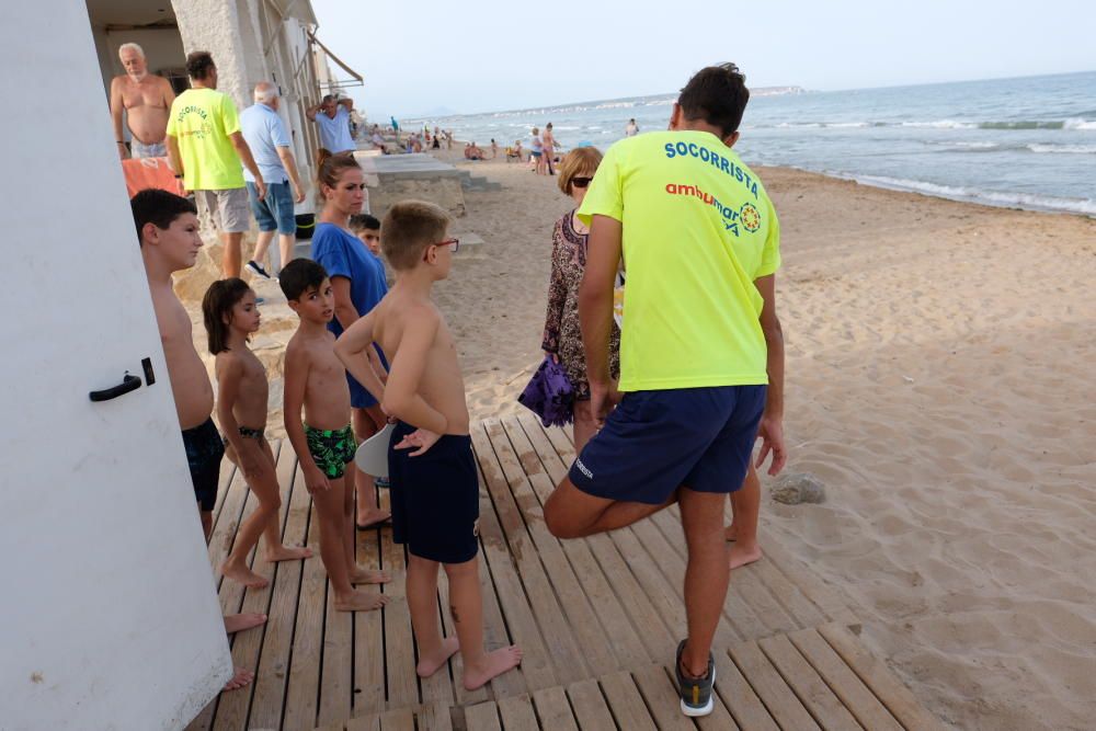 Así está la playa del Pinet de Elche tras morder u