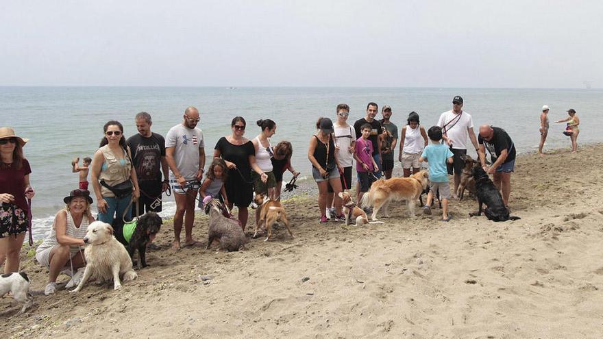 Mascotas y dueños, en una de las playas caninas de Marbella.
