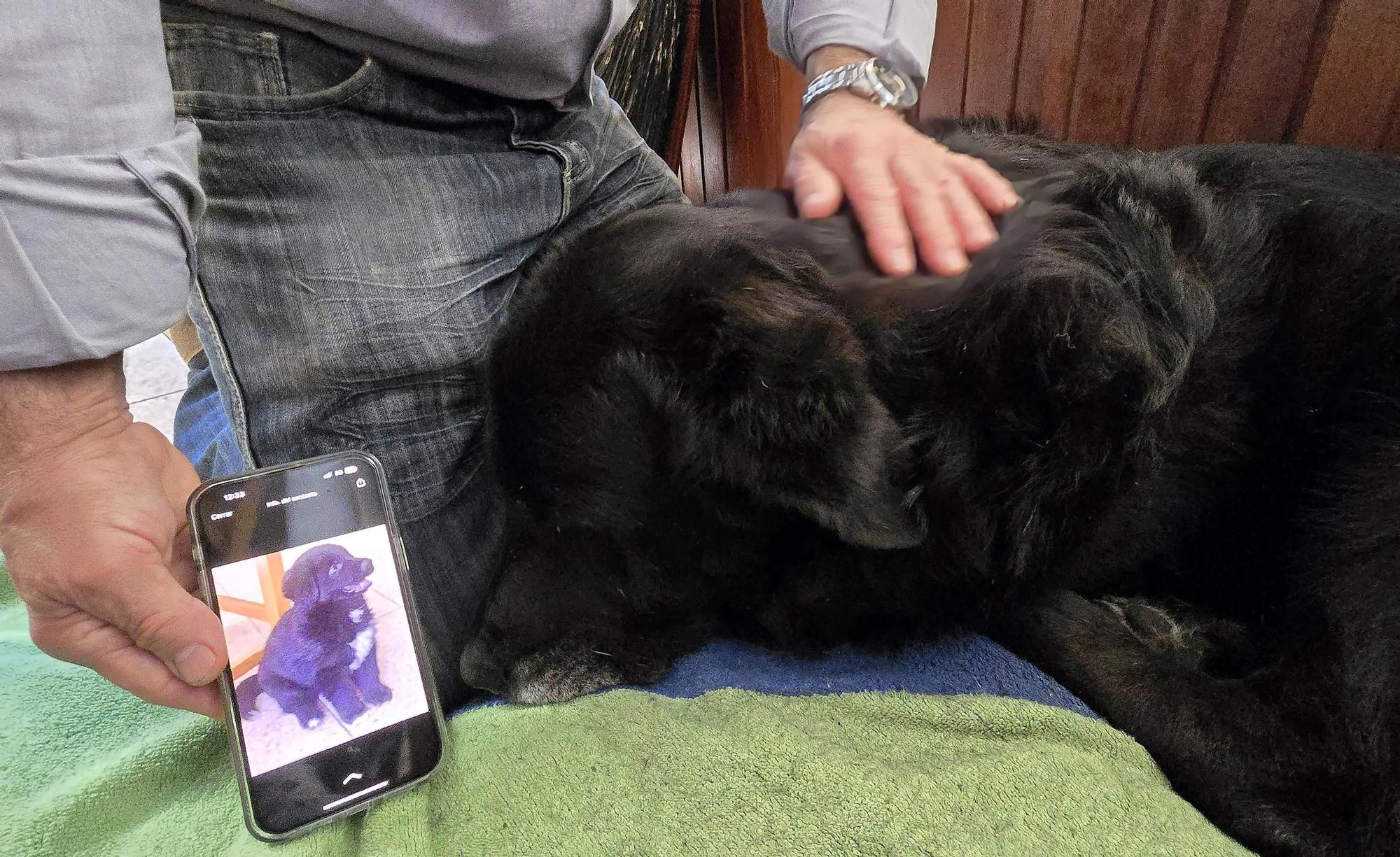 El histórico bar vigués Casa Roucos cerrará por la urbanización de Barrio do Cura