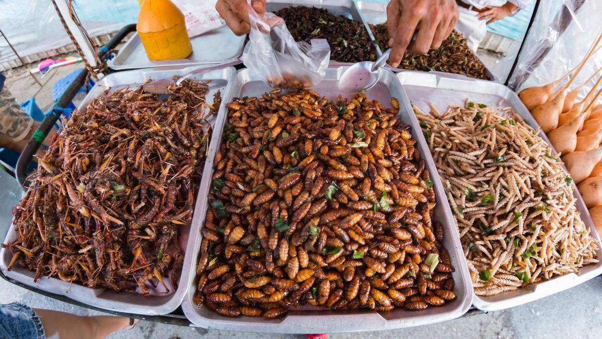 Comer insectos es habitual en muchos países