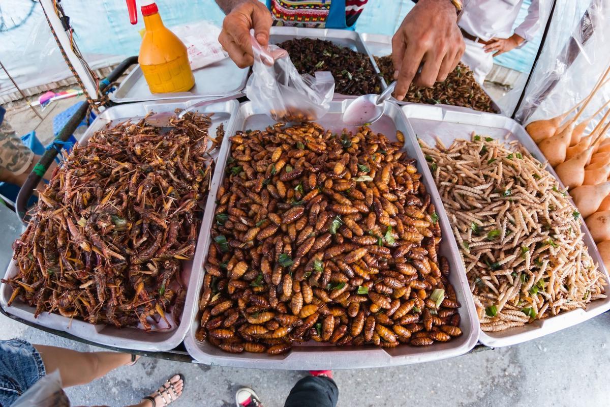 Comer insectos es habitual en muchos países