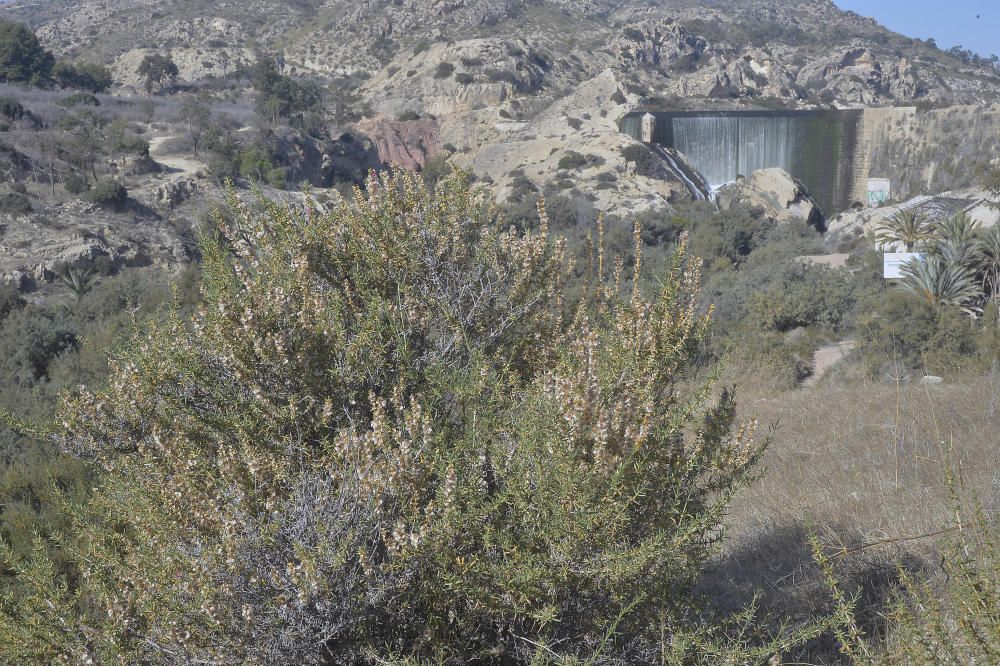 Un paraje con muchas posibilidades