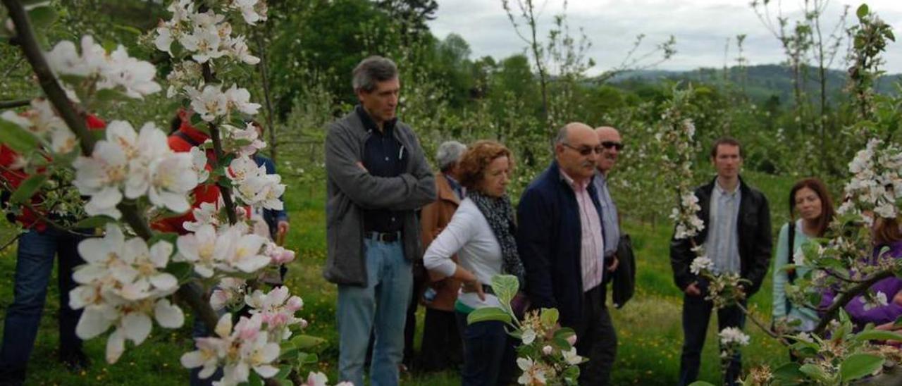 Un grupo de turistas, visitando un llagar tradicional de la región.