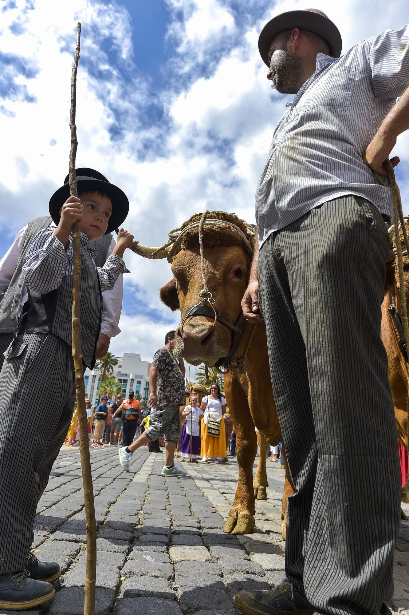 Romería por el Día de Canarias en Las Palmas de Gran Canaria (30/05/22)