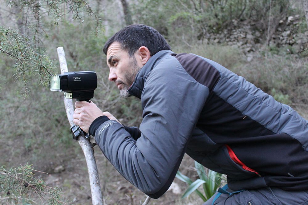 Fotograf Oliver Martínez gelingt Foto von Ginsterkatze